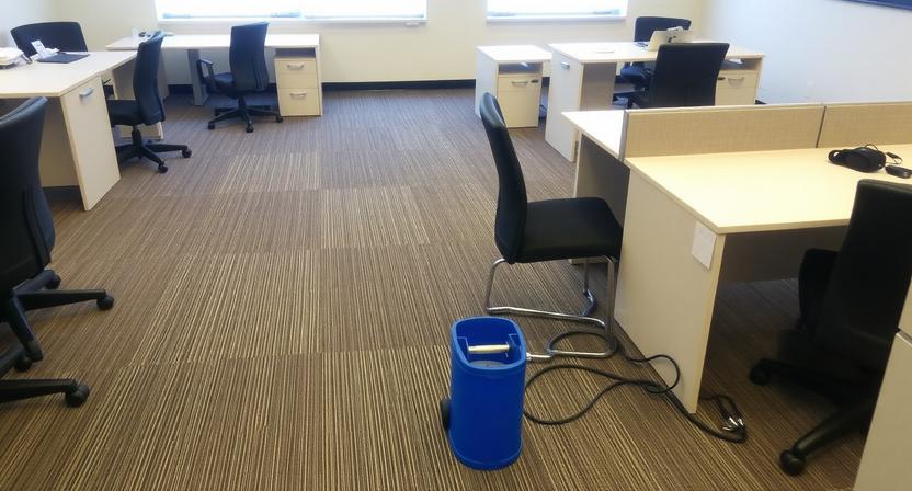 How Often Should Office Carpets Be Cleaned