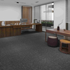 Freindly-Environment Level Loop Office Carpet with Bitumen Backing