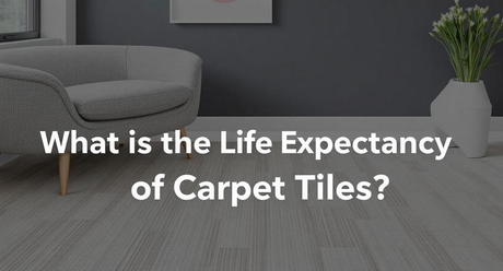 what-is-the-life-expectancy-of-carpet-tiles-60137e.jpg