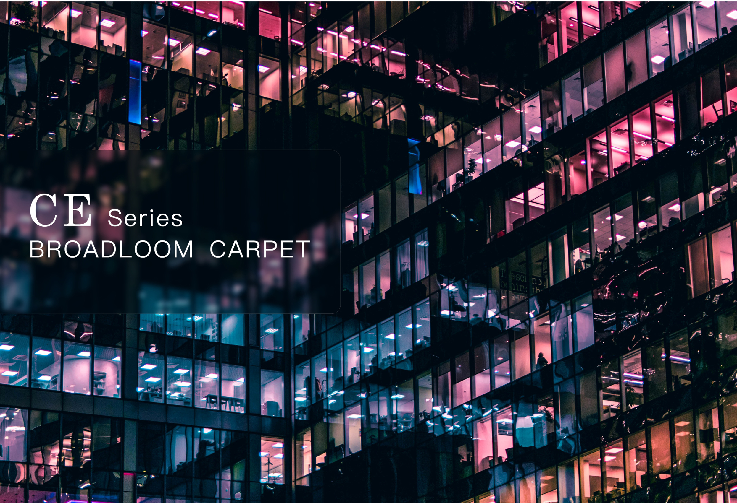pp carpet wall to wall