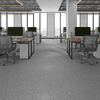 Freindly-Environment Level Loop Office Carpet with Bitumen Backing